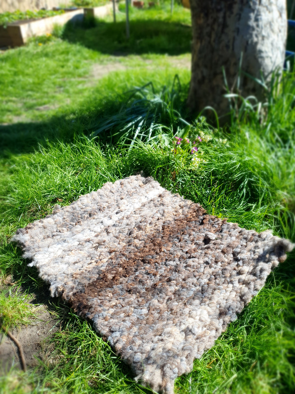 Ryland wool rug
