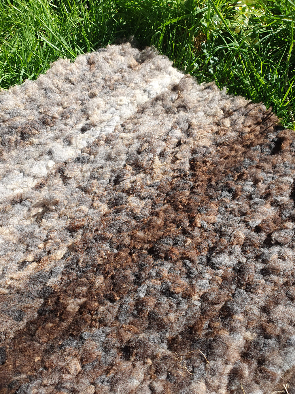 Ryland wool rug