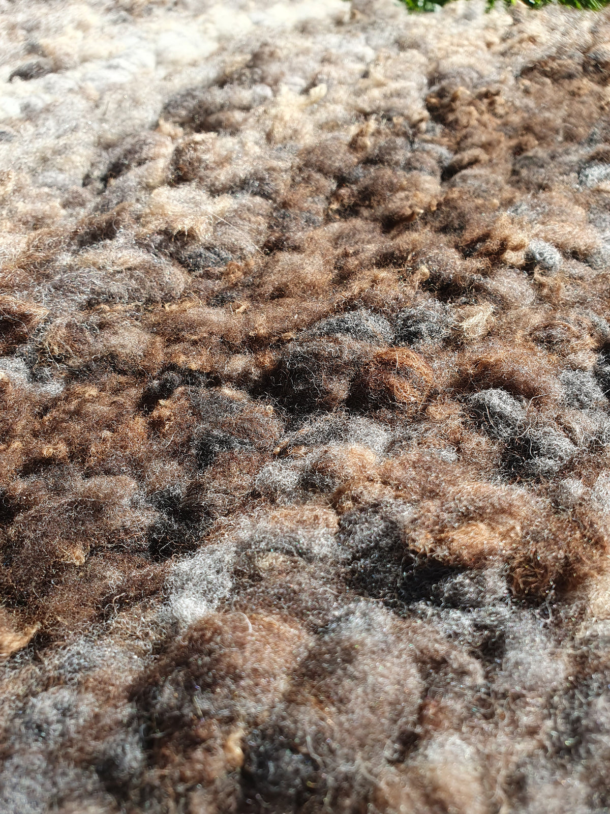Ryland wool rug