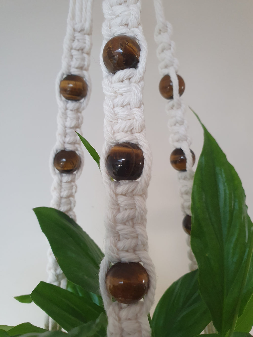 Tigers eye