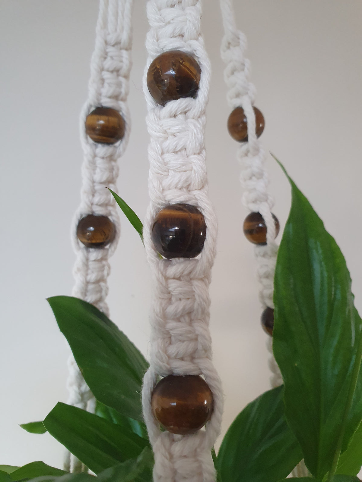 Tigers eye